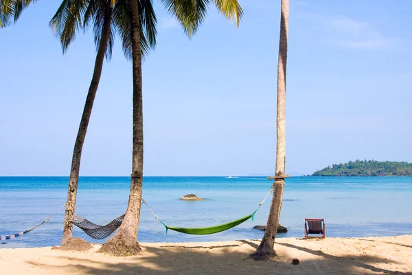 Morze, plaża, dżungla i hamak - tło wakacje — Zdjęcie stockowe