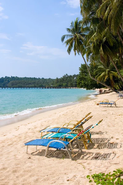 Cadeira sob palmeira na praia tropical — Fotografia de Stock