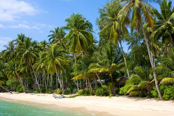Coconut palm trees on summer beach — Stock Photo, Image