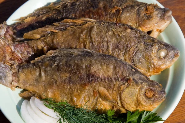 접시에 튀긴 생선 crucian — 스톡 사진