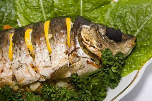 박제 하는 물고기 잉어 — 스톡 사진