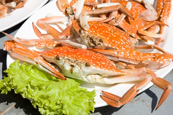 Rode krabben — Stockfoto