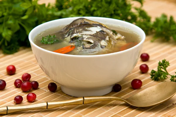 Fresh-soup — Stock Photo, Image