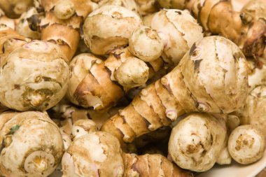 Jerusalem artichoke clipart