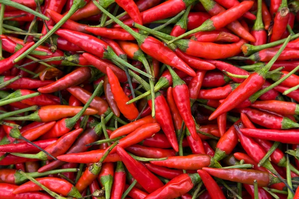 Achtergrond van close-up rode hete pepers — Stockfoto