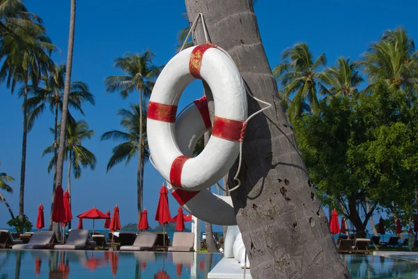 stock image Lifebuoy hanging on a palm tree