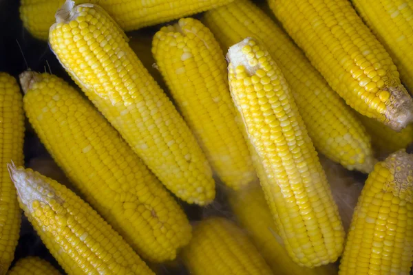 Kukurydza gotować w rondlu na rynku — Zdjęcie stockowe