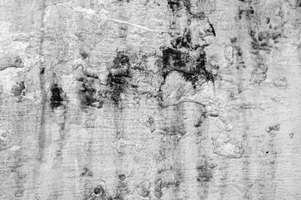 フラグメントの石の壁 — ストック写真