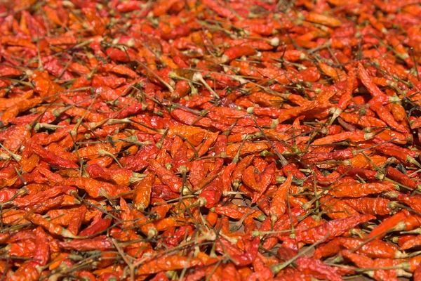 Bakgrund av närbild röd varm paprika — Stockfoto