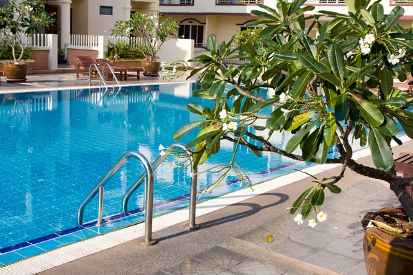 Swimming pool in spa resort . — Stock Photo, Image