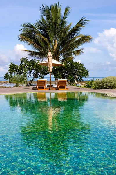 Mar de palmeiras de luxo — Fotografia de Stock