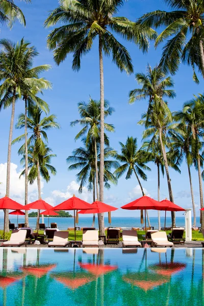Luxury Palms Sea — Stock Photo, Image