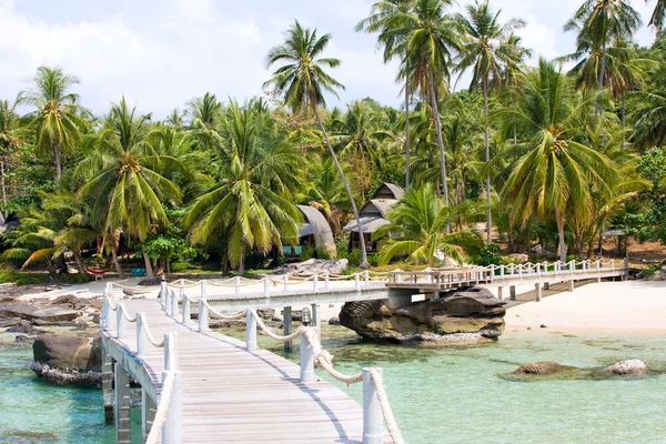 Zee en de pier van palmbomen — Stockfoto