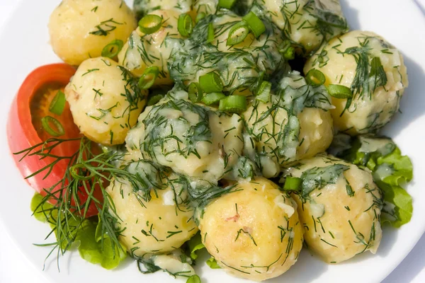 Patatas y tomates con hierbas —  Fotos de Stock