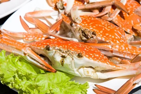 Rode krabben — Stockfoto