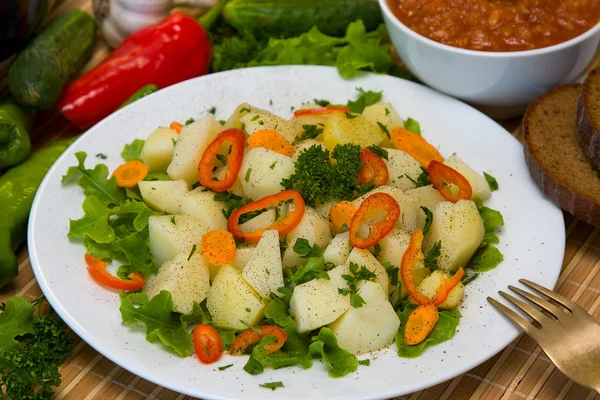 Vařené brambory se zeleninou — Stock fotografie