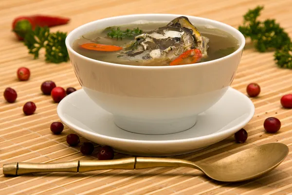 Sopa fresca — Fotografia de Stock