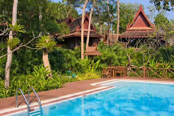 Розкішний басейн у тропічному саду — стокове фото