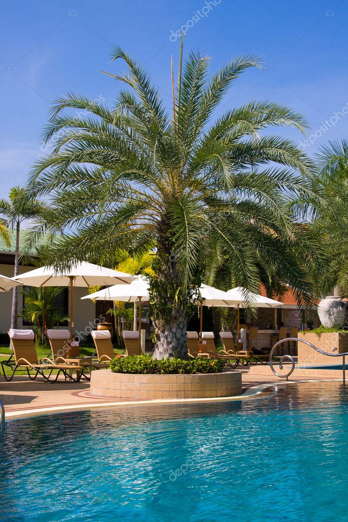 Swimming pool in spa resort . Stock Photo by ©OlegDoroshenko 11402455