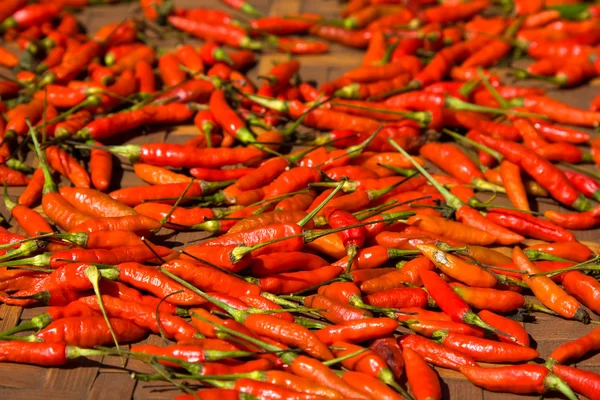 Pimientos rojos de chile —  Fotos de Stock