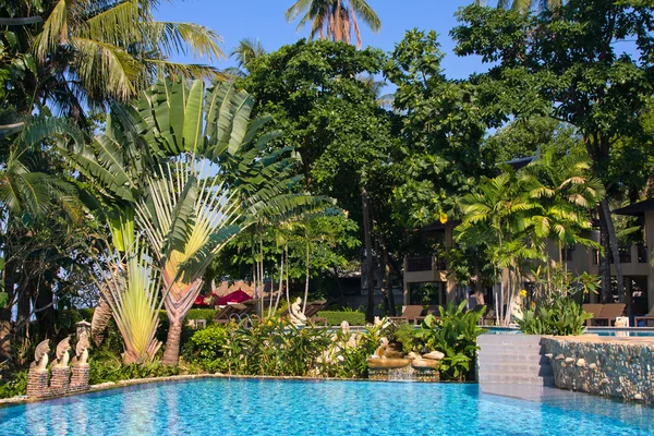 Роскошный бассейн в тропическом саду — стоковое фото