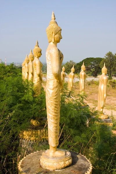 Muchas estatuas de Buda —  Fotos de Stock