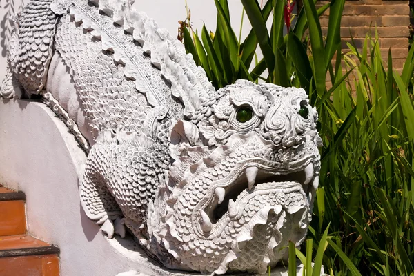 Statue de dragon dans un temple à Chiang Mai, Thaïlande — Photo