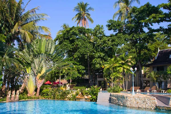 Tropikal Bahçe lüks Yüzme Havuzu — Stok fotoğraf