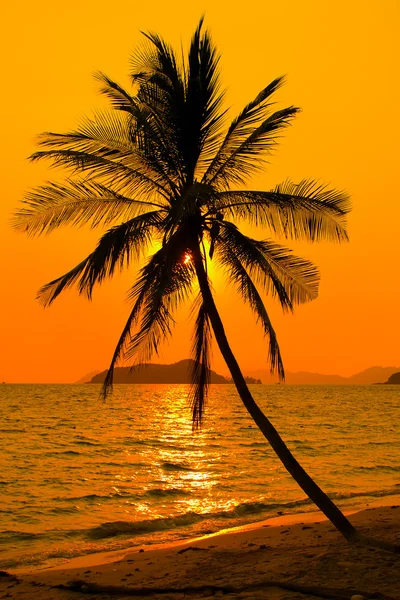 熱帯の夕日 — ストック写真