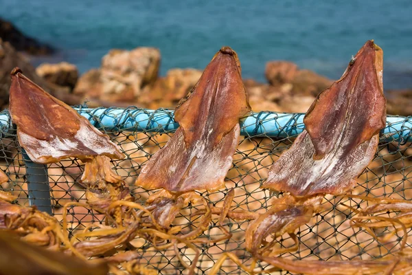 Сухий кальмар — стокове фото