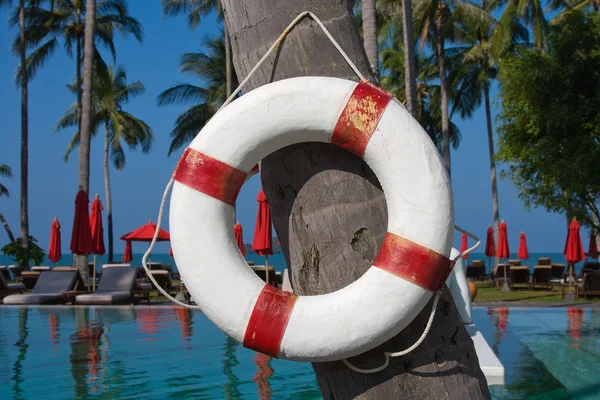 stock image Lifebuoy hanging on a palm tree