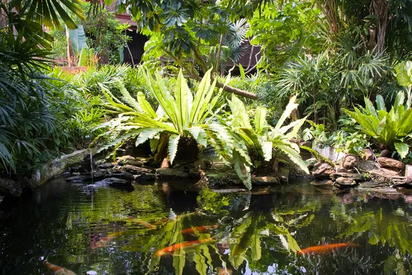 Giardino tropicale zen — Foto Stock