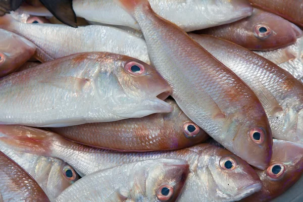 Ryby na trhu — Stock fotografie