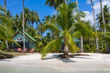 güzel tropik beach, Tayland