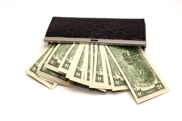Bolsa de couro de mulher e dinheiro — Fotografia de Stock
