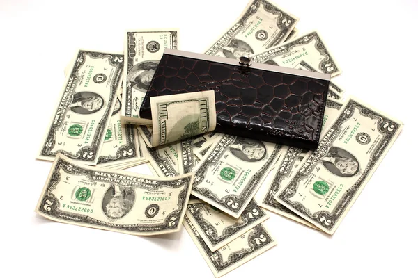 女性革製の財布と紙のお金 — ストック写真