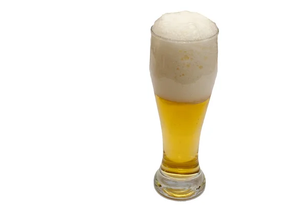 Пиво на белом — стоковое фото