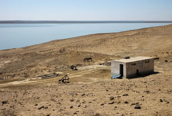 Aral-tó üzbég Stock Fotó