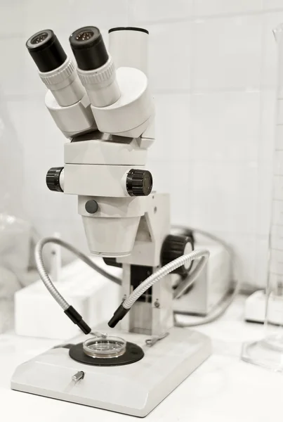 ステレオ顕微鏡 — ストック写真