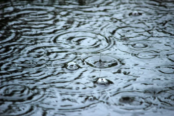 Краплі дощу Стокове Фото
