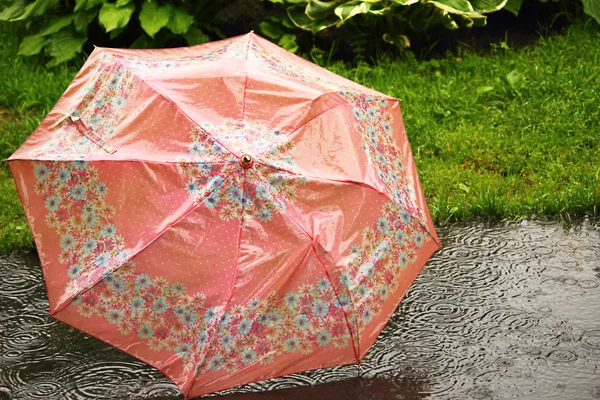 stock image Umbrella from the rain