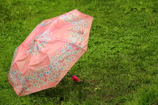 stock image Pink umbrella
