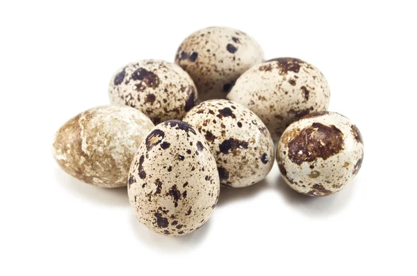 stock image Quail eggs