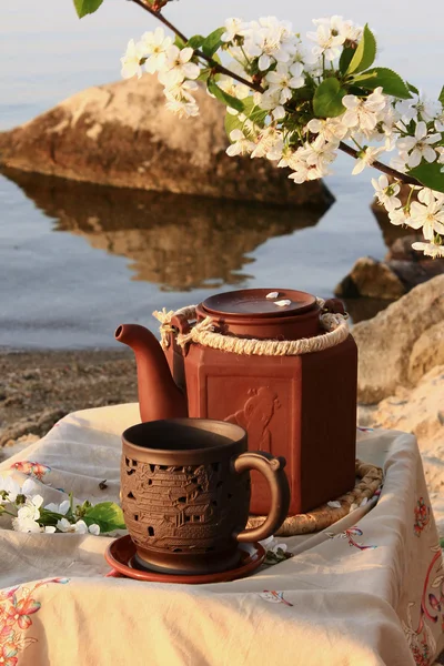 - Cerimônia de chá na praia — Fotografia de Stock