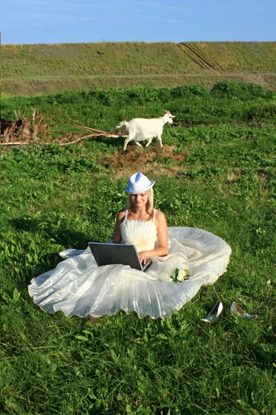 stock image Bride with a laptop on a summer field