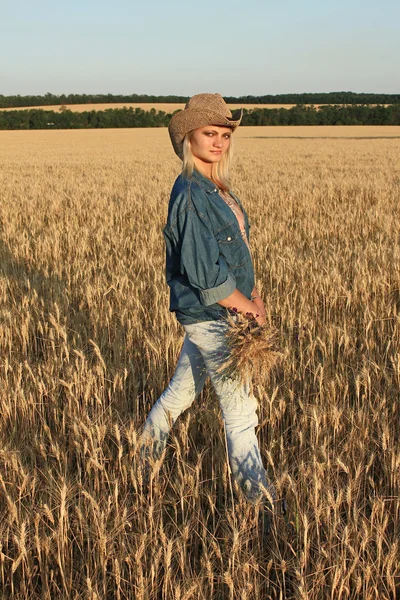 stock image Girl in a wheat field