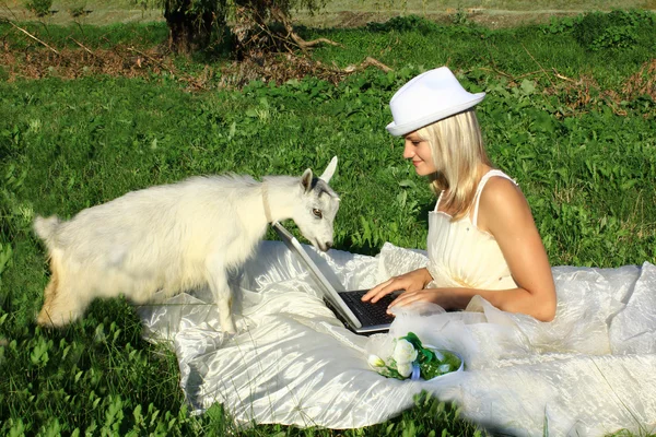 Νύφη με ένα φορητό υπολογιστή σε ένα πεδίο καλοκαίρι Εικόνα Αρχείου