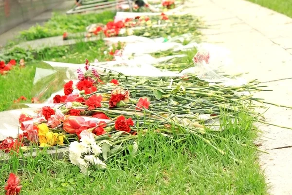 Beautyful carnation flowers lie on the ground — Stock Photo, Image