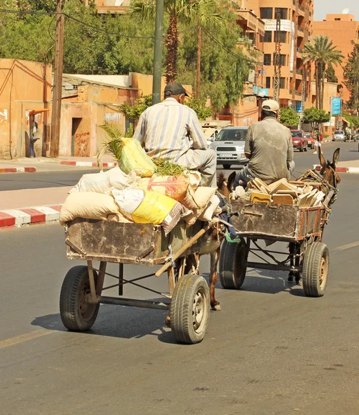 阿拉伯男子驾驶驴 — 图库照片