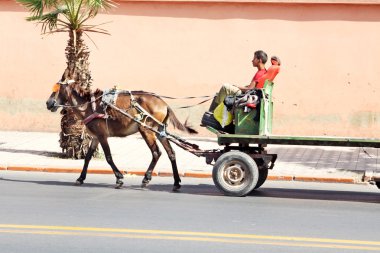 An arabian man driving a horse clipart